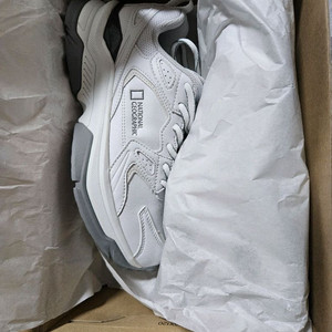 내셔널지오그래픽운동화