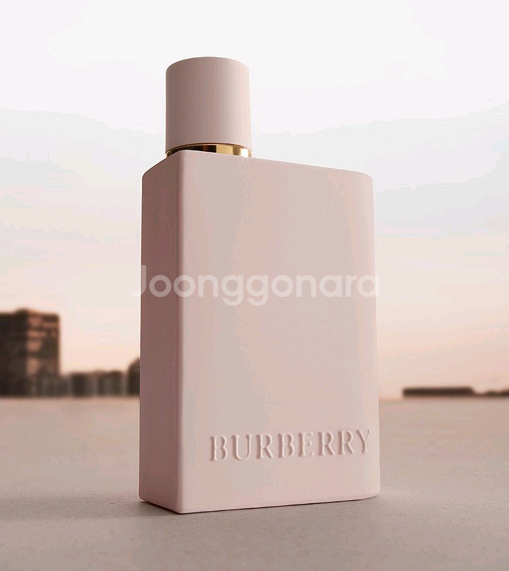 버버리 허 오드퍼퓸 인텐스 100ml--0