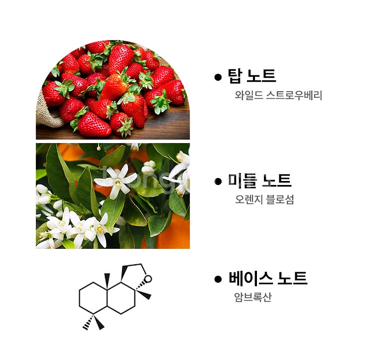 버버리 허 오드퍼퓸 인텐스 100ml--2