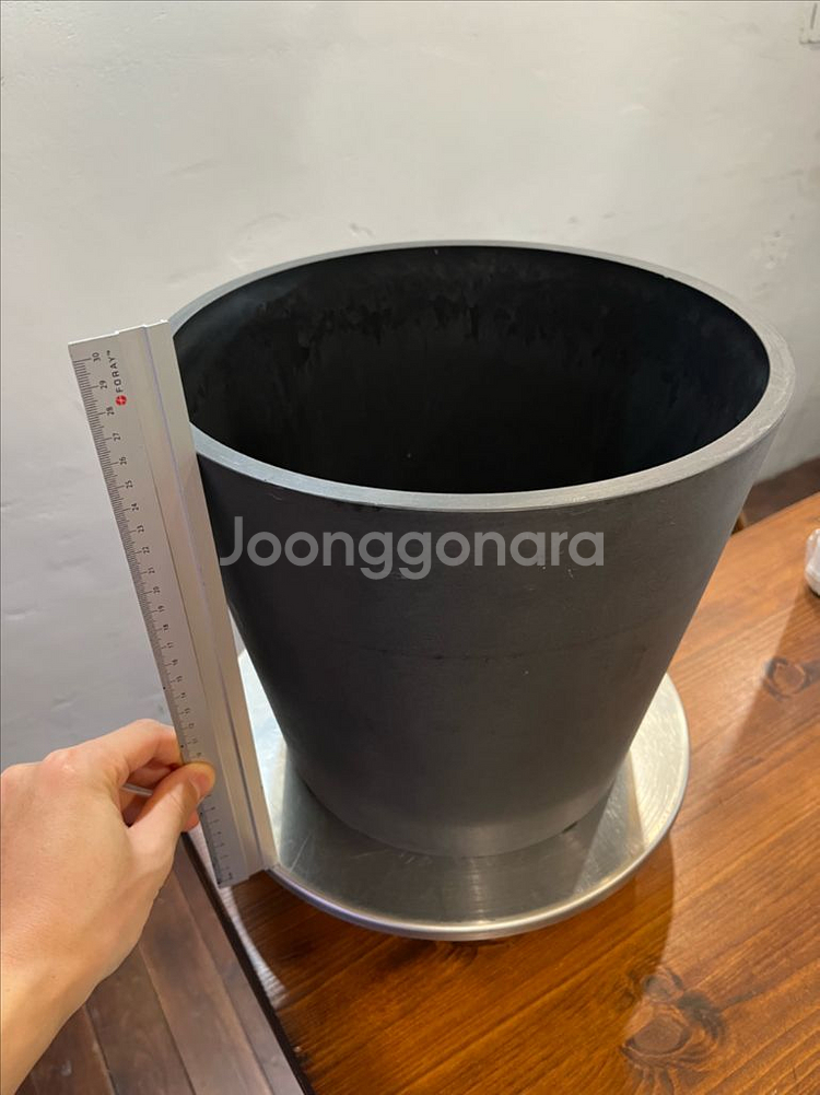 블랙팟 코덱스 다육이 화분--2