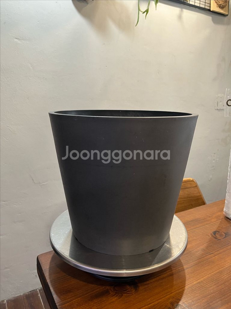 블랙팟 코덱스 다육이 화분--0