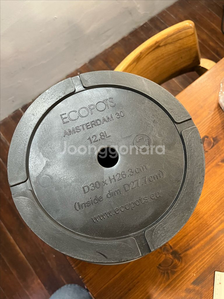 블랙팟 코덱스 다육이 화분--3