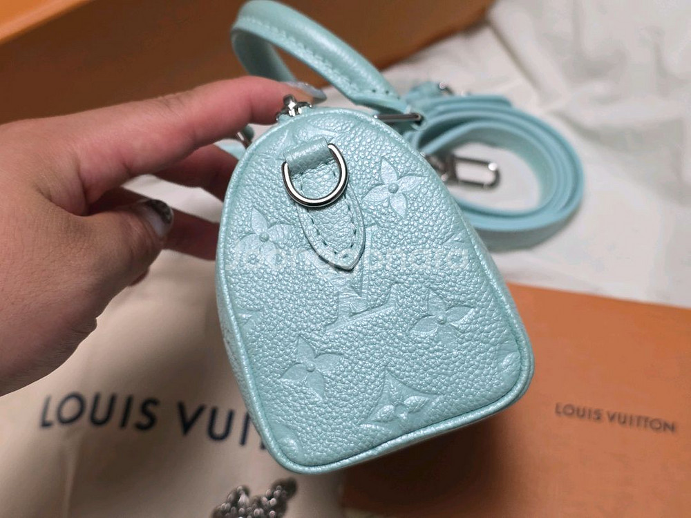 루이비통 나노 스피디--5