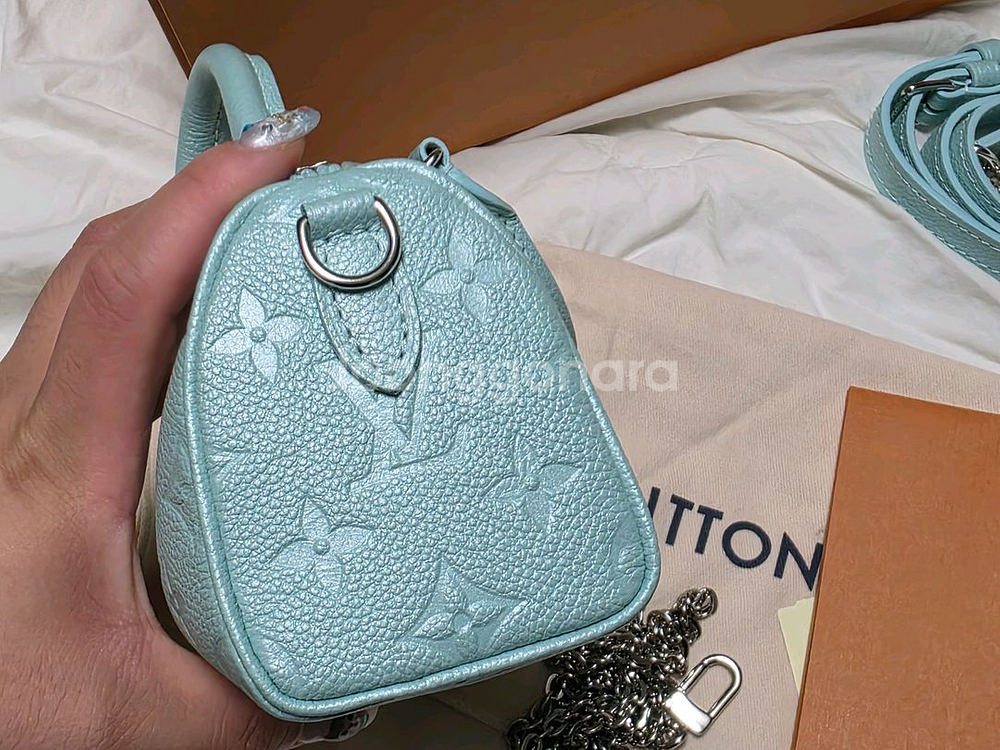 루이비통 나노 스피디--6