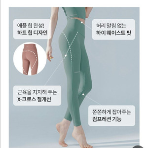 젝시믹스 L(블랙라벨 시그니처 380N 레깅스)