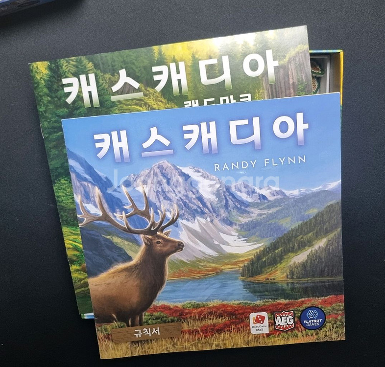캐스캐디아 랜드마크 확장 보드게임--7