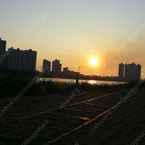 구글 75프로 판매