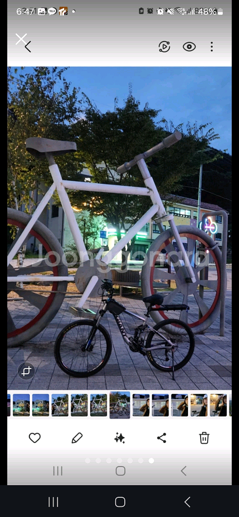 자이언트풀샥--3