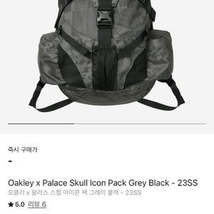 오클리 x 팔라스 스컬 아이콘 팩 그레이 블랙 - 23