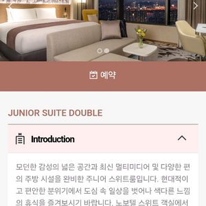 불꽃축제 노보텔 스위트 킹베드룸 양도