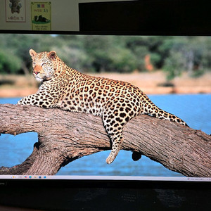 LG 27GN880 QHD 나노IPS 모니터