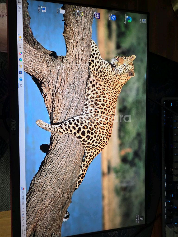 알파스캔 AOC 144Hz IPS패널 모니터 풀박스--0