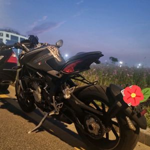 아구스타 브루탈레800 팜니다