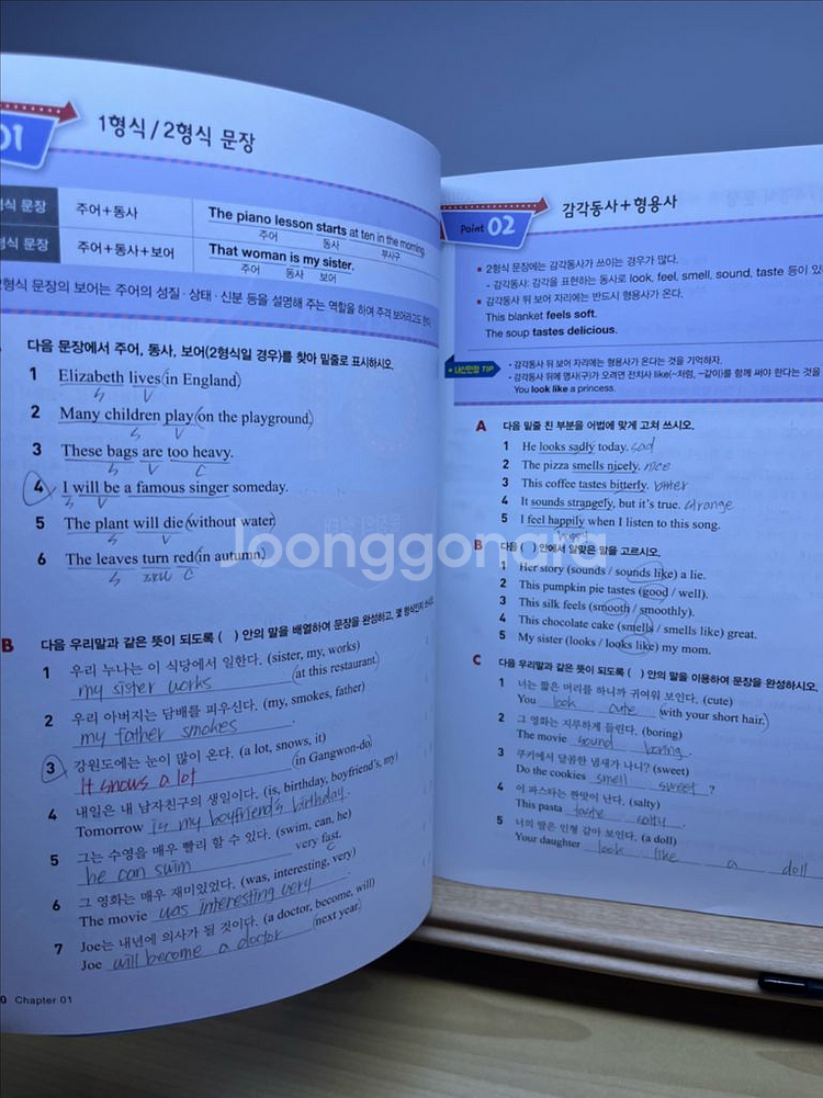 문제로 마스터하는 중학영문법 level2--2