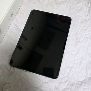 아이패드 프로 11 M4 256G 셀룰러