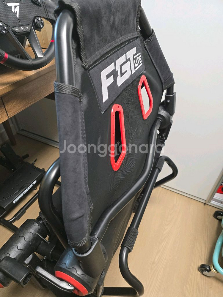 넥스트레벨 F-GT Lite 휠거치대 판매합니다.--0