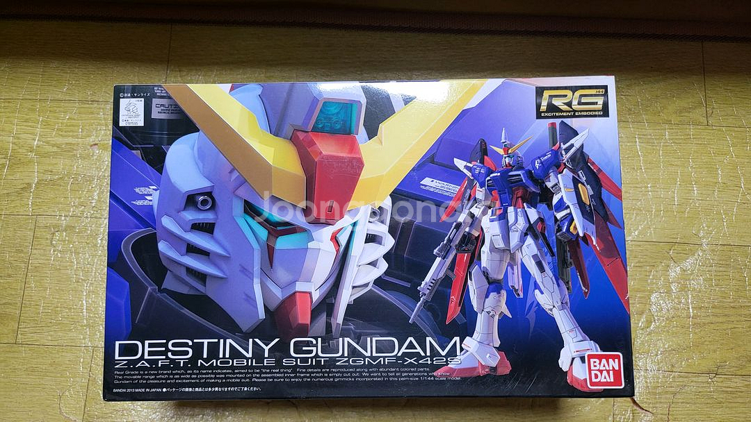 RG-11 데스티니 건담 프라모델 새상품--0