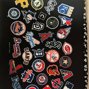 Casetify MLB 14인치 노트북 파우치