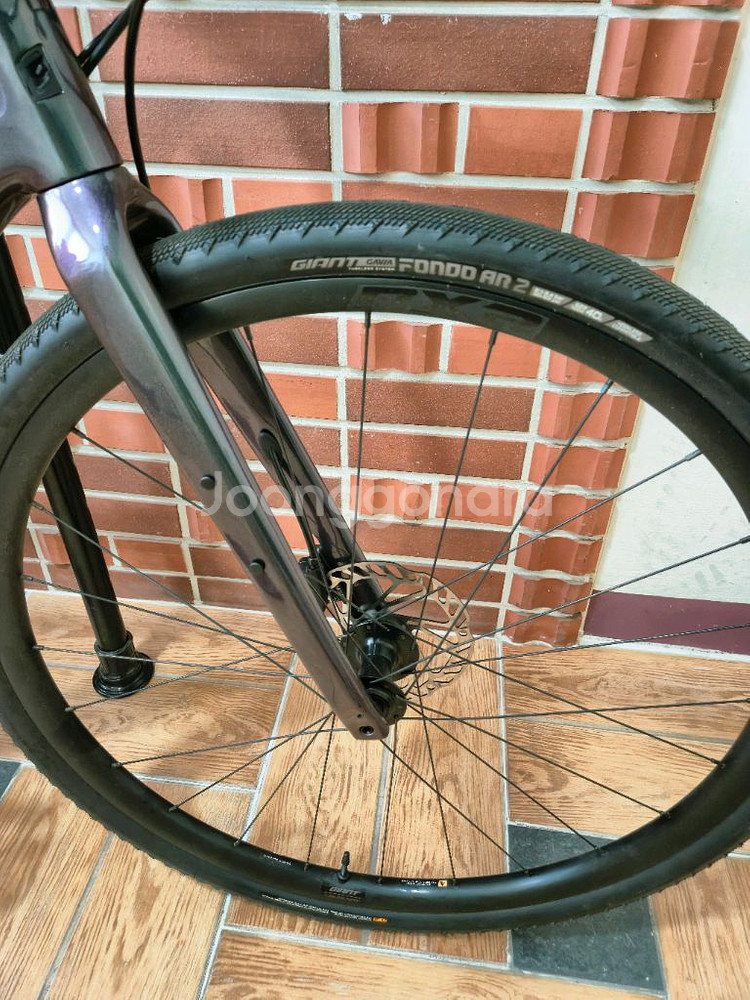 2024 자이언트 패스트로드 어드밴스 AR1 XS 카본--6