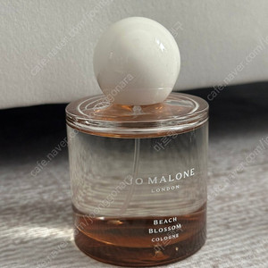 (국문택) 조말론 비치블로썸 100ml