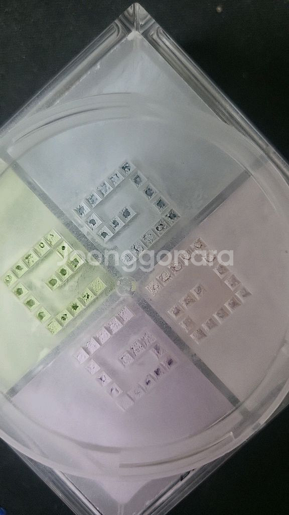 지방시 파우더 01 베이지 무슬린 리뉴얼 전 구형--1