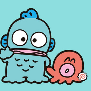 한교동 랜덤박스!