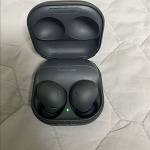 갤럭시 버즈2 프로 블랙