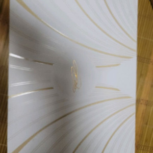 르브론21 멀리컬러 265mm
