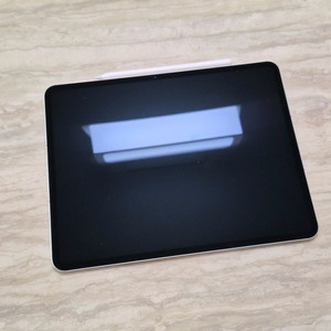 iPad Pro 13 M4 셀룰러 512GB