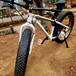 스페샬라이즈드 팻보이