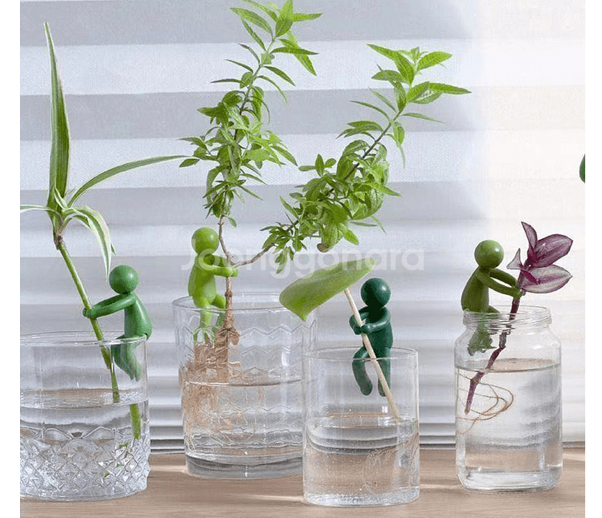 꽃병 수경재배 꽃다발 식물줄기 지지대세트 색상랜덤발송--1