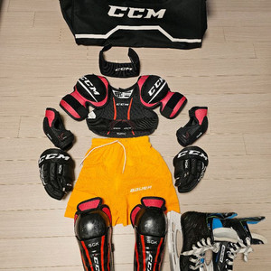 아이스하키 장비