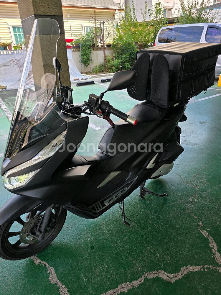 pcx 150 2019년식--1