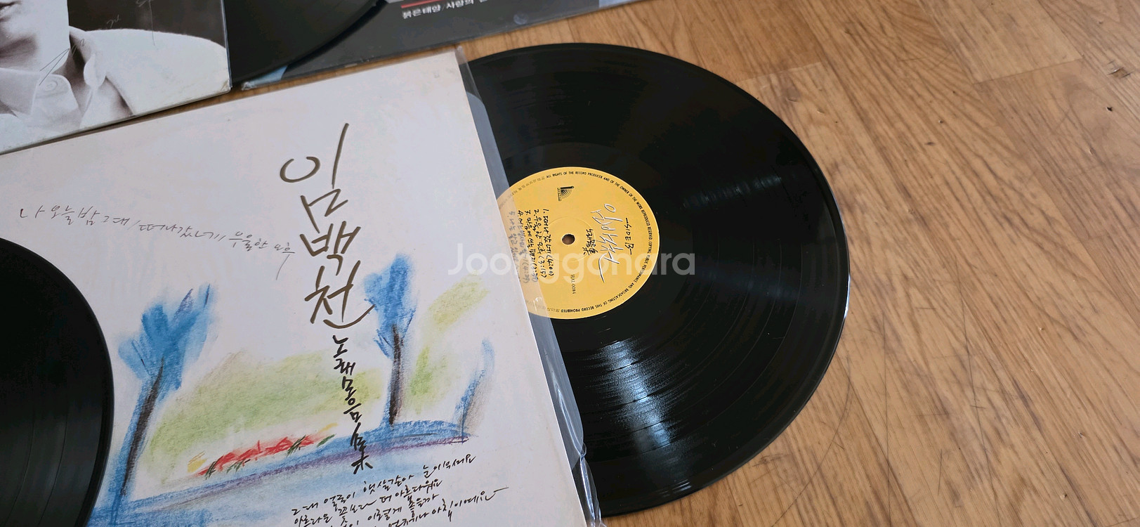 국내 가수 LP 판5장 일괄--3