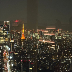 시부야스카이전망대 2인티켓팝니다 이미지