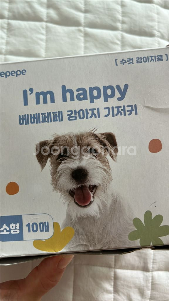베베페페 강아지 기저귀 소형(수컷 강아지용)--0