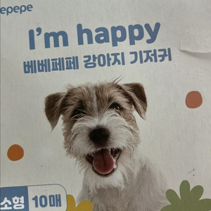 베베페페 강아지 기저귀 소형(수컷 강아지용)