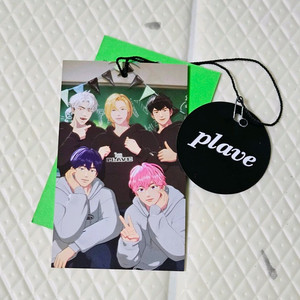 플레이브 육여름 후드티 택 태그
