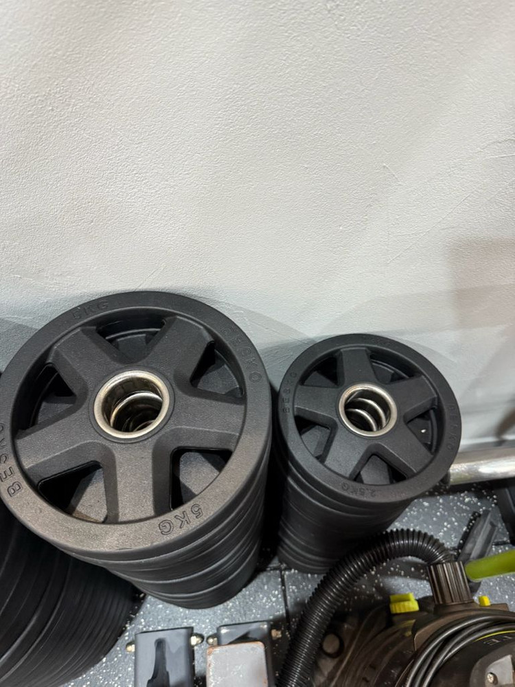 베스코(BESCO) 중량원판 판매합니다--3