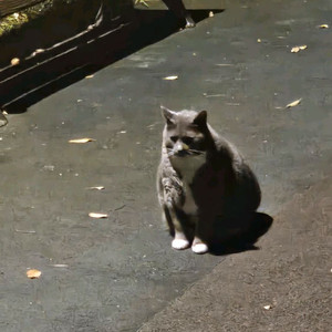 s6 lite 탭 삽니다