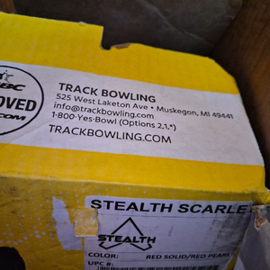 스칼렛 스텔스 기어300 도미네이션 2020 15