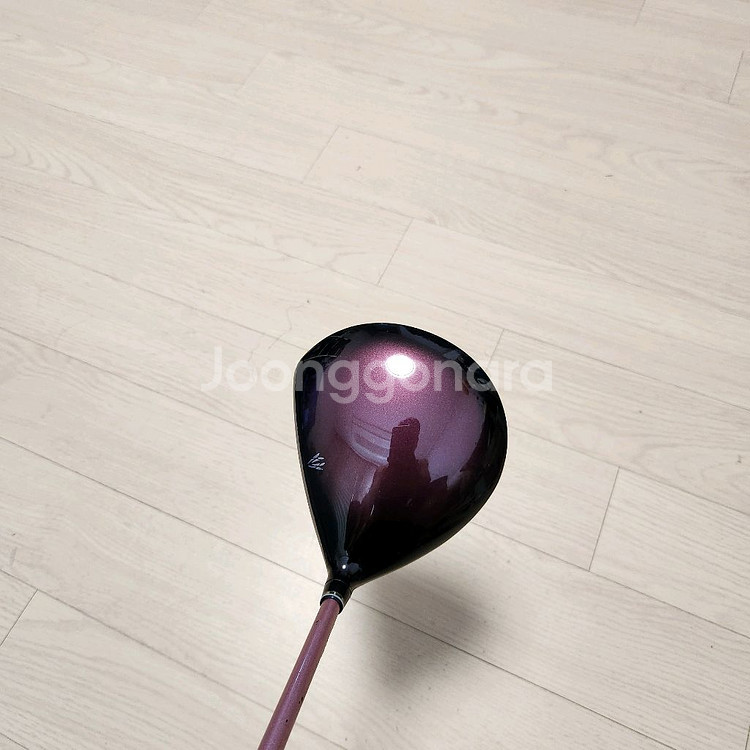 젝시오여성드라이버 MP1000K, L--2