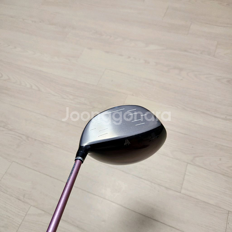 젝시오여성드라이버 MP1000K, L--1