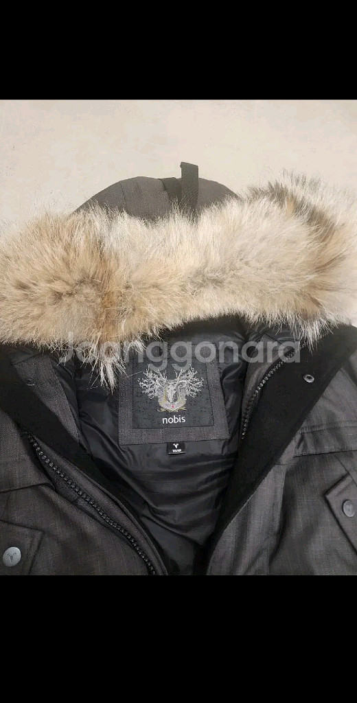 노비스 야테시 4C--6