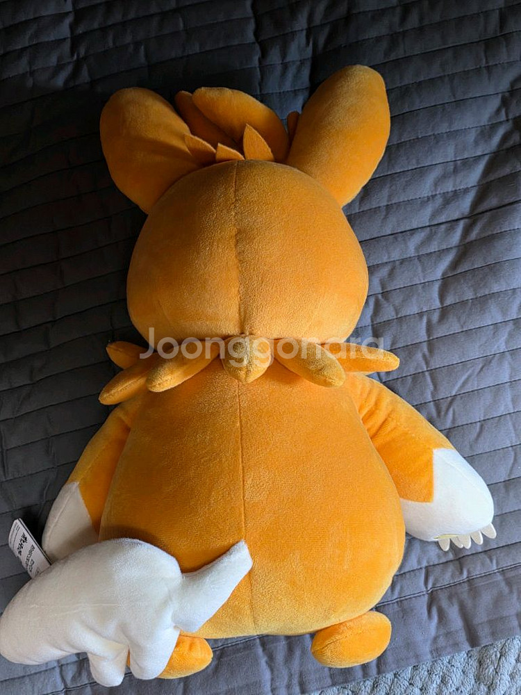 포켓몬 빠르모트 공식인형--1