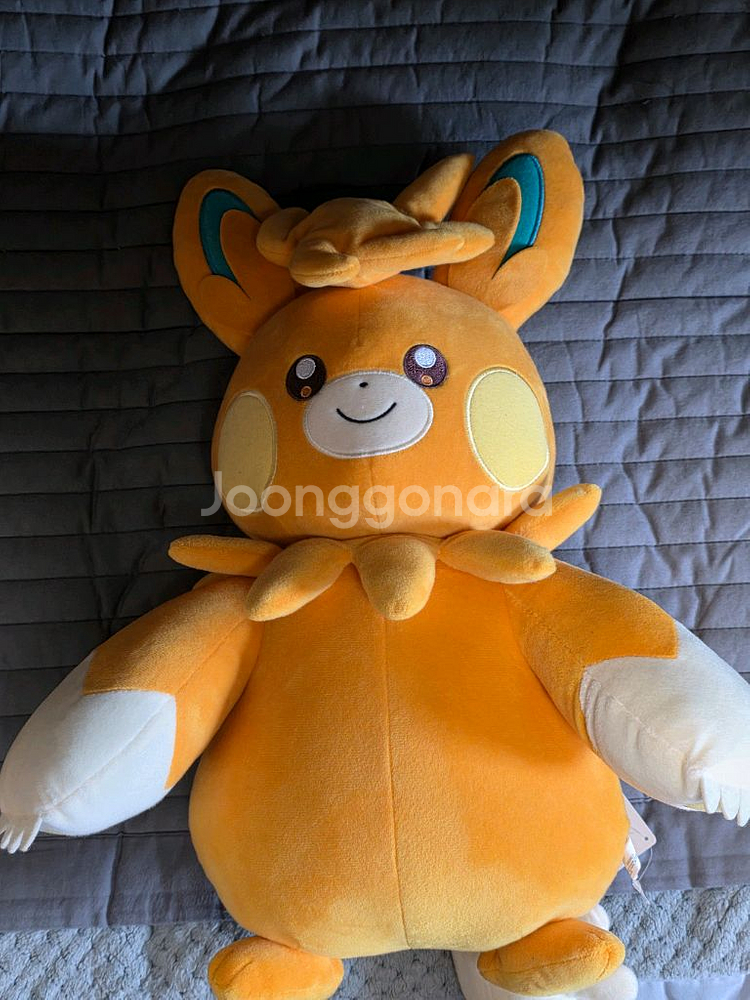 포켓몬 빠르모트 공식인형--0