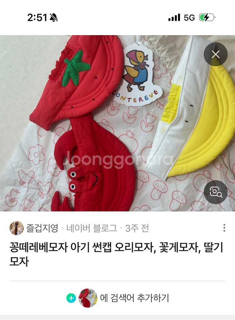 [꽁떼레베] 썬캡 , 모자 구해요--0