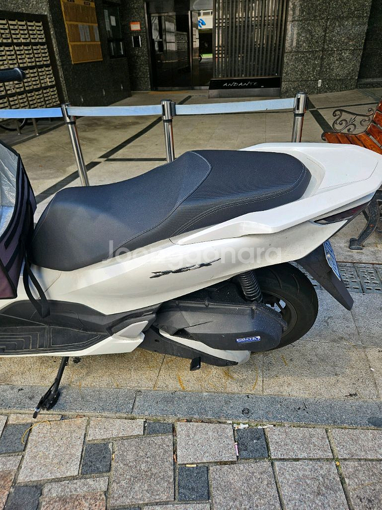 부산 pcx125 2024년식 팝니다.--5