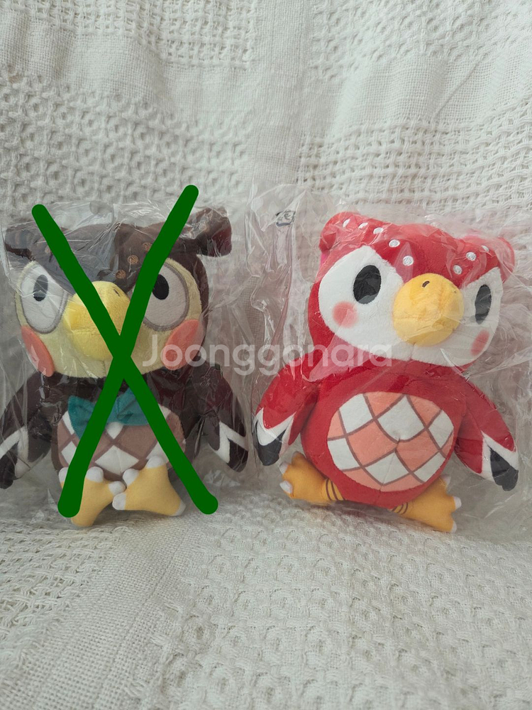 (미개봉)동물의 숲 부옥이 인형--0