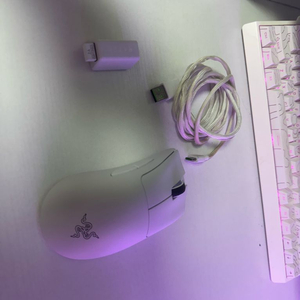 레이저 데스에더V3PRO(데브삼)